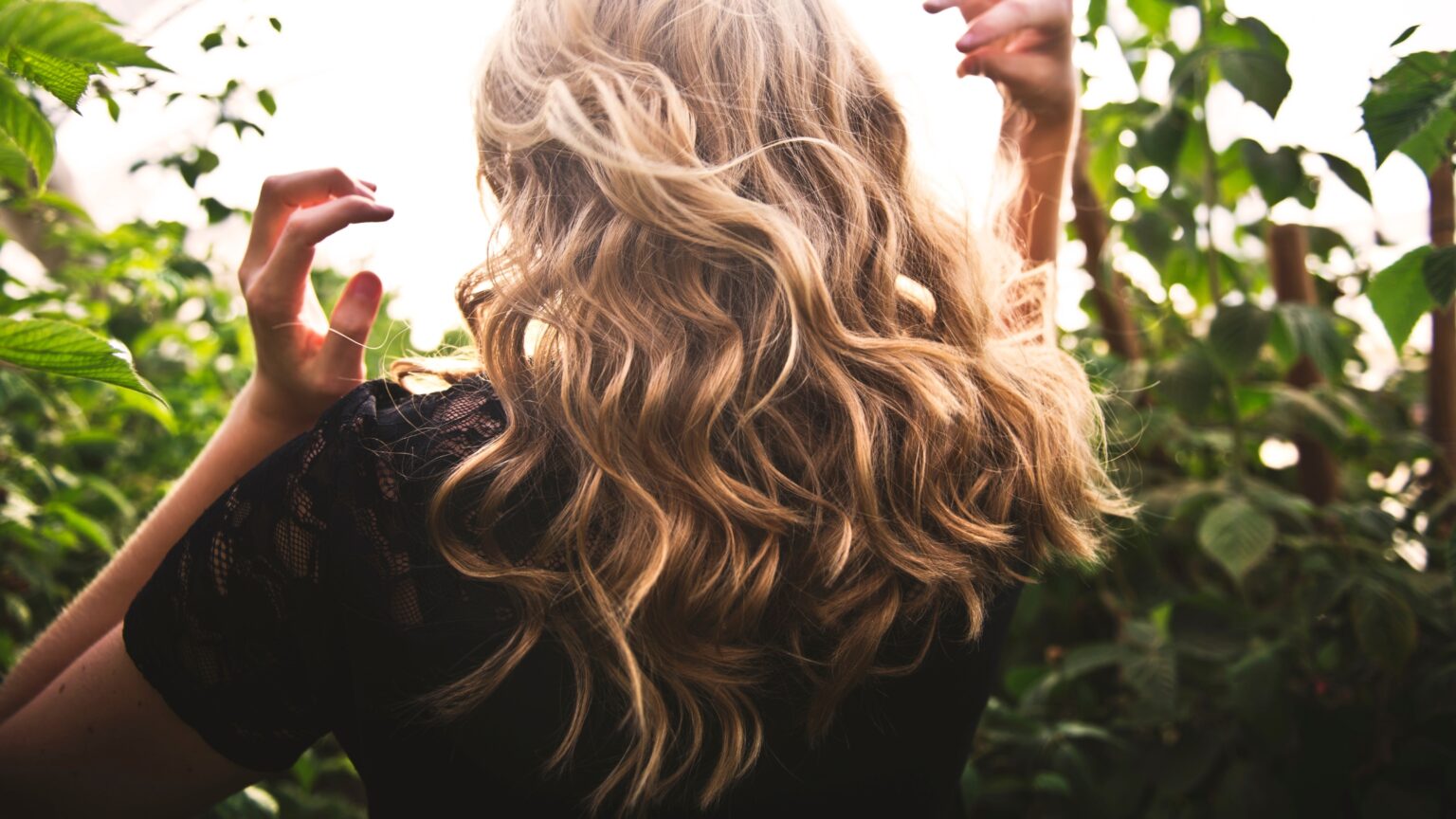 cabelos cacheados na natureza